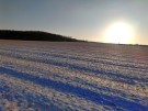 IMG_20240119_153452_hdr