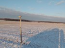 IMG_20240119_154406