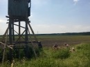 Brigáda 2.6.2017