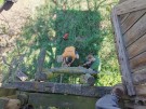 brigada-2-5-26-5