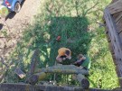 brigada-2-5-26-6