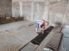 IMG_20240629_083543