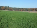 photo3