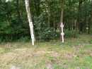 IMG-20190616-WA0006