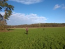 photo15