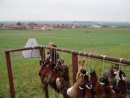 photo13