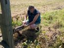 IMG-20160819-WA0003