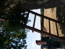 IMG-20160819-resized