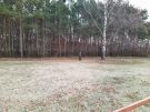 IMG_20211204_090642