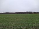 IMG_20211204_105327_1