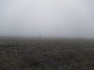 IMG_20201107_112754