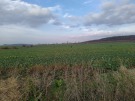 IMG_20201205_1152431