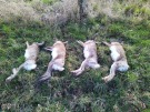 IMG_20201205_115924