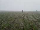 IMG-20201107-WA0018