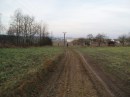 Společný hon 10.12. 2016