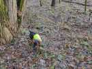 IMG-20231216-WA0006