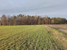 IMG_20231216_095053