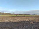 IMG_20231216_095203