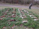 IMG_20231216_144341
