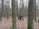 Společný hon 26.12.2018