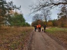 IMG_20231118_083821_hdr