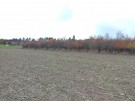 IMG_20231118_085532_hdr