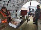 IMG_20231118_095543_hdr