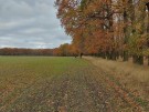 IMG_20231118_114754_hdr