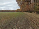 IMG_20231118_114812_hdr