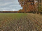 IMG_20231118_114818_hdr