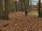 IMG_20231118_122756_hdr