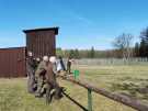 strelby-18.4.2026-26