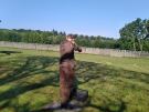 IMG_20210904_094210_1