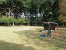 photo2