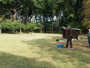 photo4