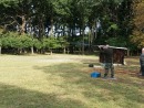photo5