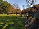 IMG_20200905_093218_2