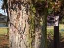 photo24.jpg