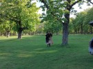 IMG_20240427_081253