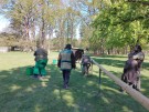 IMG_20240427_101748